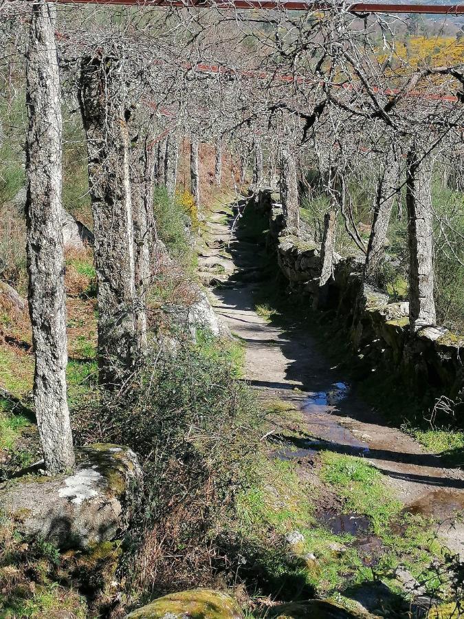 Hotel De Charme Casa Fundevila Vila Verde  Kültér fotó
